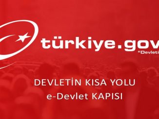 E DEVLET NEDİR