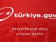 E DEVLET NEDİR